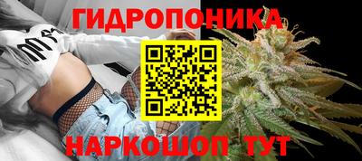 амф Тверь