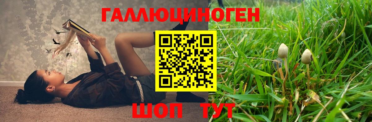 Нефтекумск  Галлюциногенные грибы Cubensis  Вход с VPN 